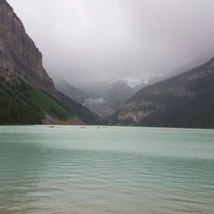 Meet your Posher, Jhonny